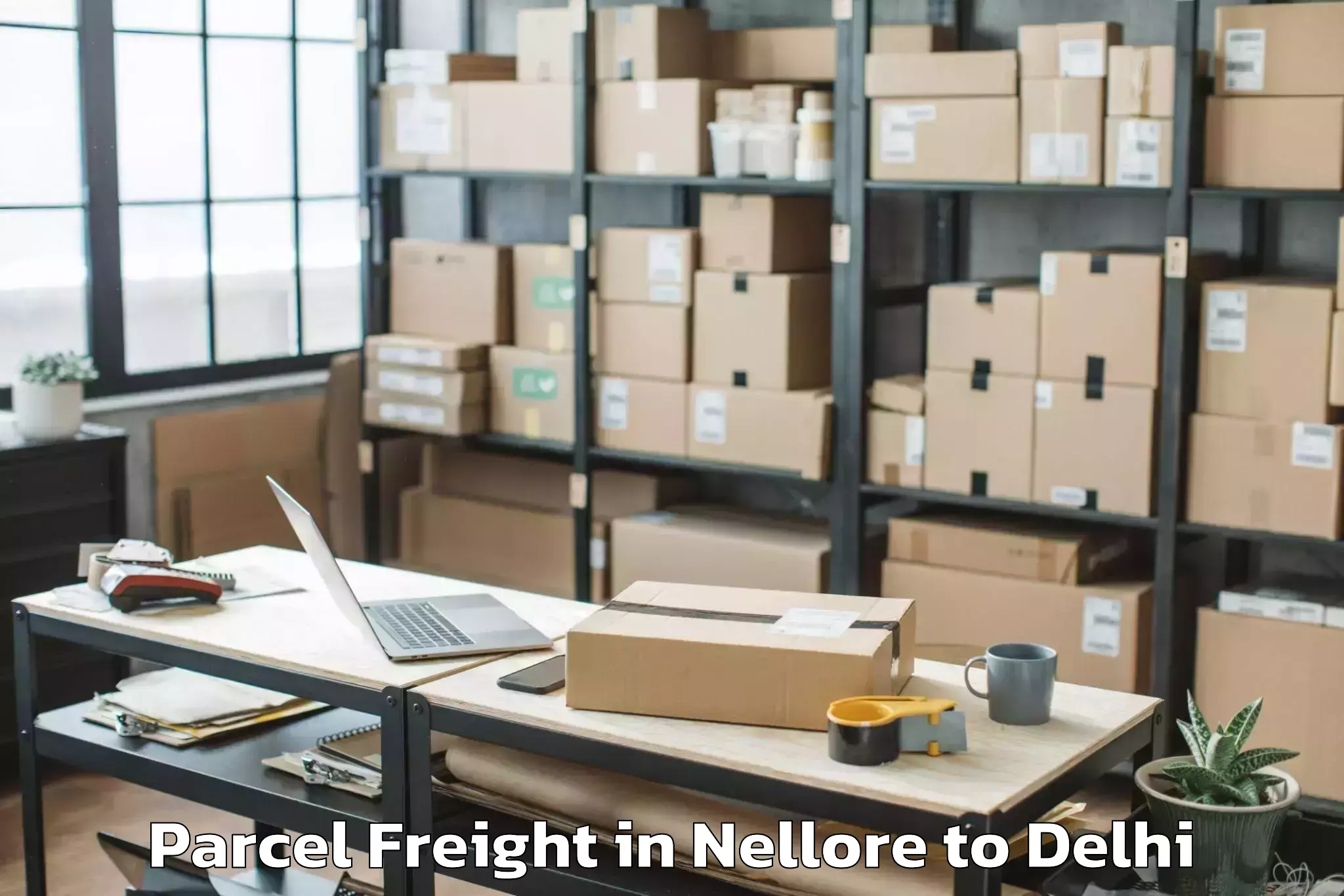 Expert Nellore to Delhi Technological University Parcel Freight